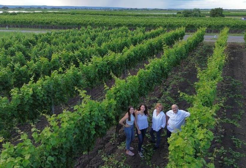 Pensionat Gästehaus Lackenblick