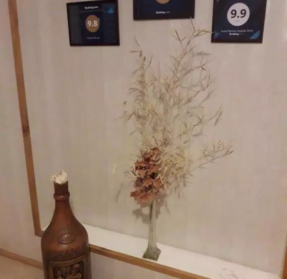 پانسیون Omsi House