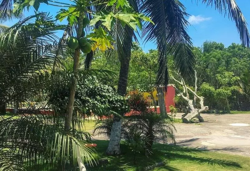 ペンション Pousada Dos Gravatais