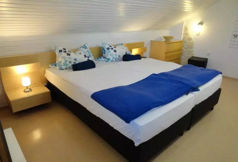 ユースホステル Appartement Pension Schüßler