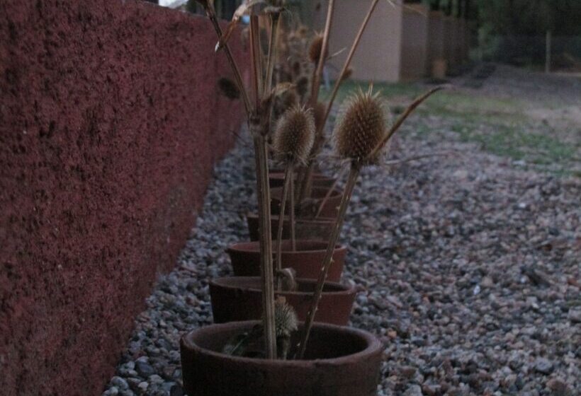 فندق صغير Las Cardas Posada