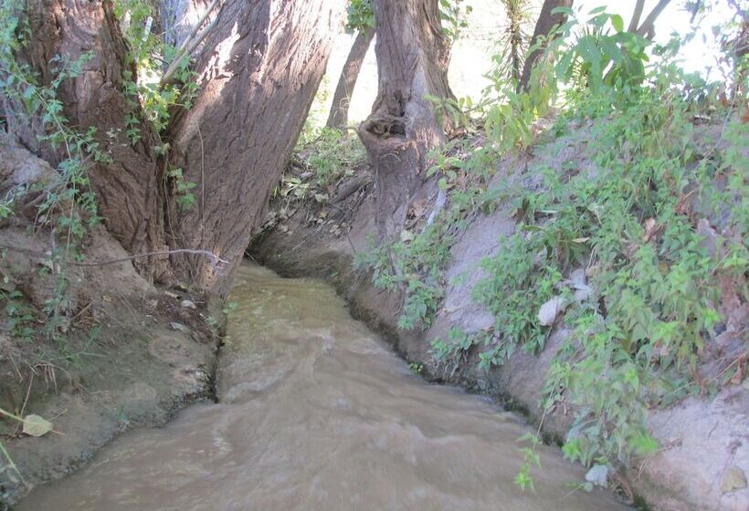 فندق صغير Las Cardas Posada