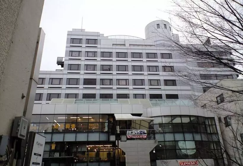 هتل کپسول Town Hotel 41
