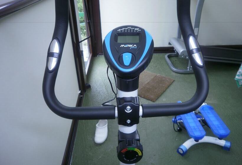 بنسيون Guest House Erika