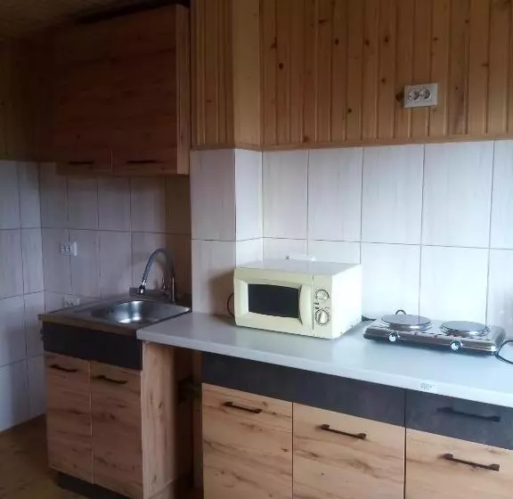 ペンション Gutsulochka Apartment