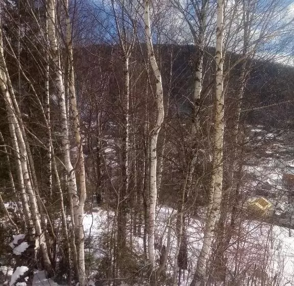 ペンション Gutsulochka Apartment