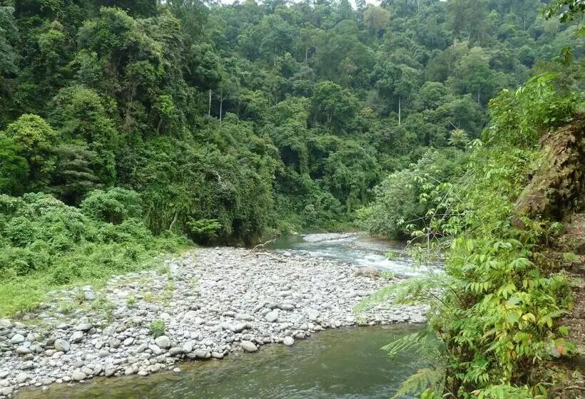 ペンション Junia Guesthouse Bukit Lawang