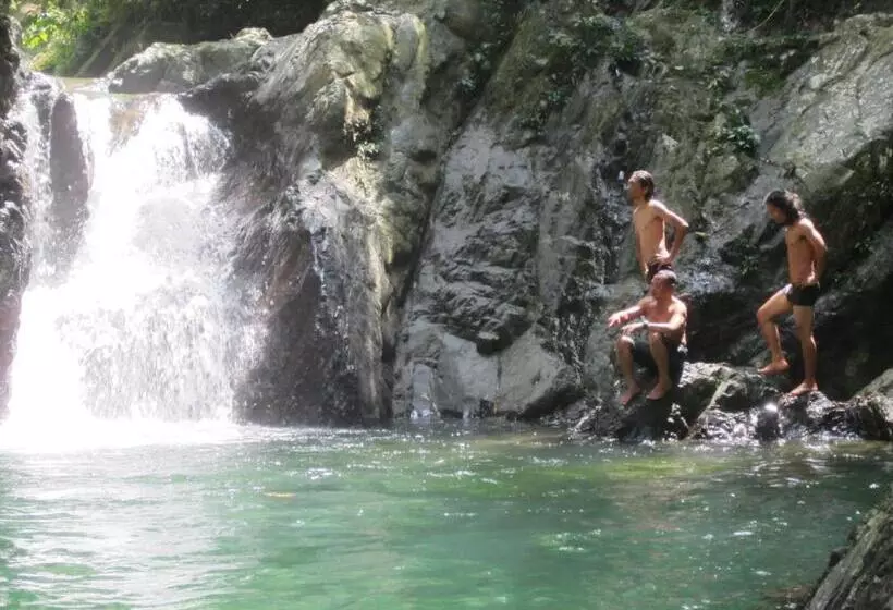 ペンション Junia Guesthouse Bukit Lawang