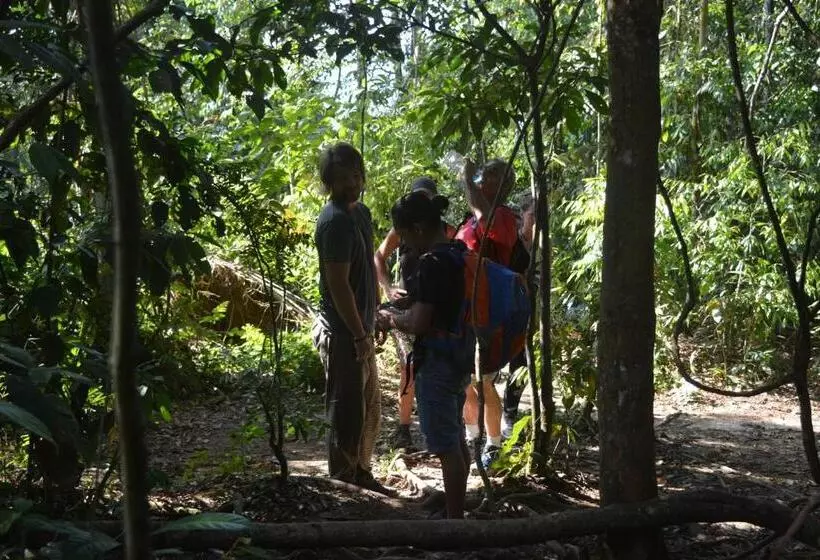 ペンション Junia Guesthouse Bukit Lawang