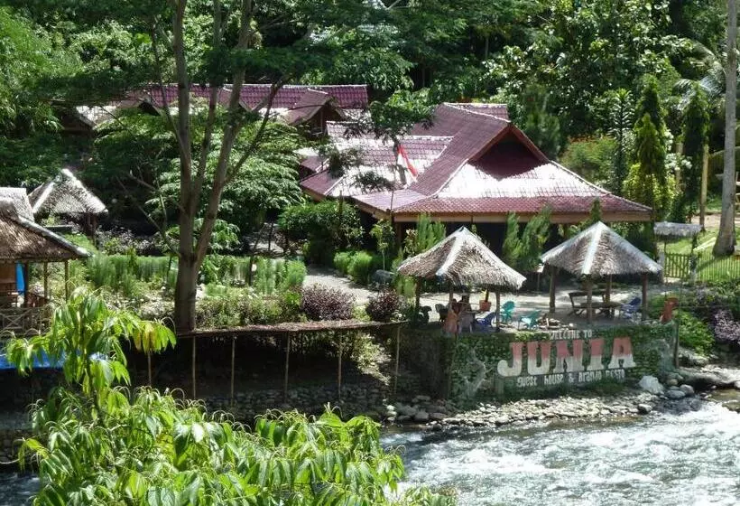 ペンション Junia Guesthouse Bukit Lawang