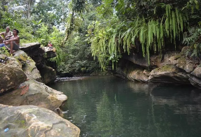 ペンション Junia Guesthouse Bukit Lawang