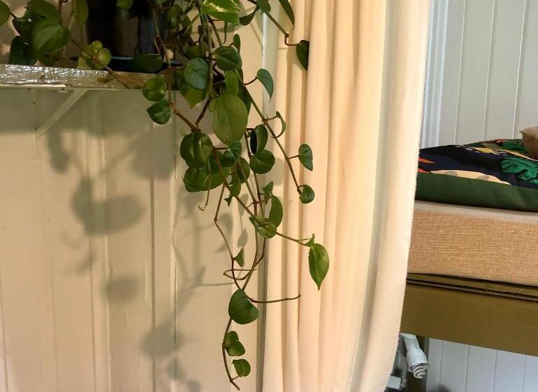 פנסיון Mandala Camping Pousada