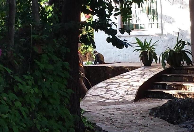 پانسیون Villa Fortuna Malindi