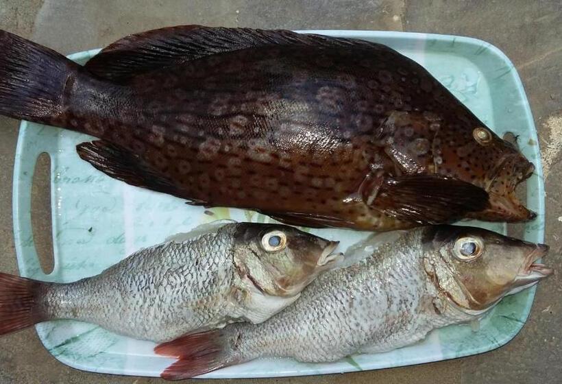 پانسیون Villa Fortuna Malindi