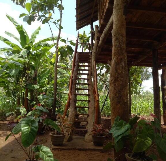 Pension Sigiri Aliya Tree House