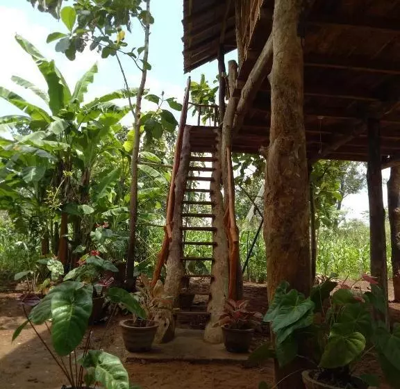 پانسیون Sigiri Aliya Tree House