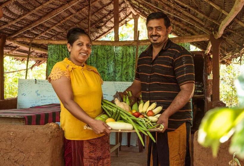 Pension Sigiri Aliya Tree House