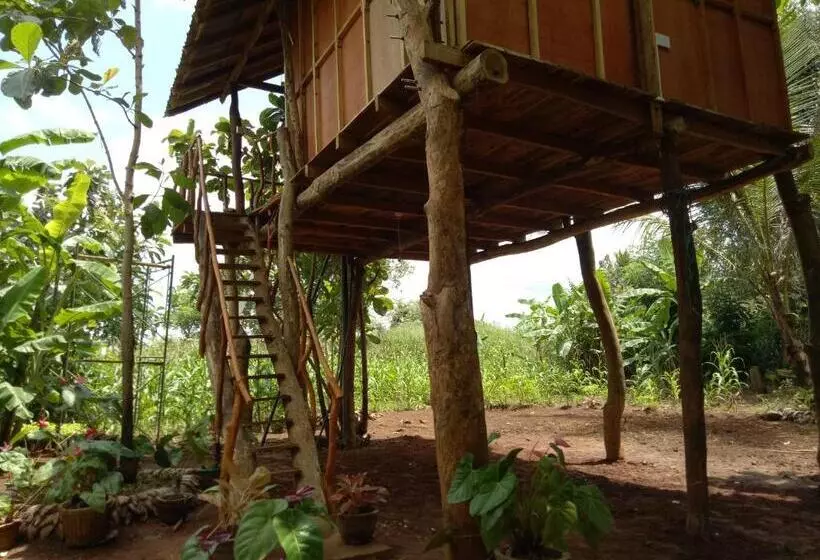 پانسیون Sigiri Aliya Tree House