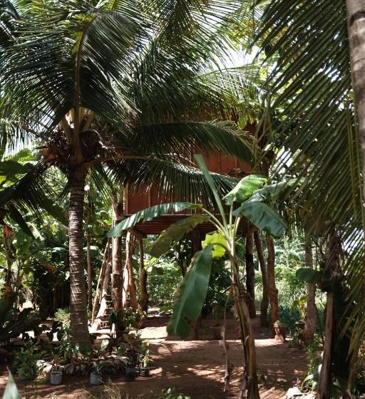Pension Sigiri Aliya Tree House