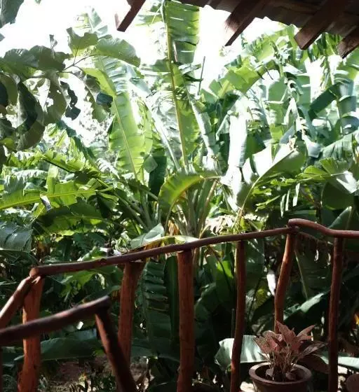 پانسیون Sigiri Aliya Tree House