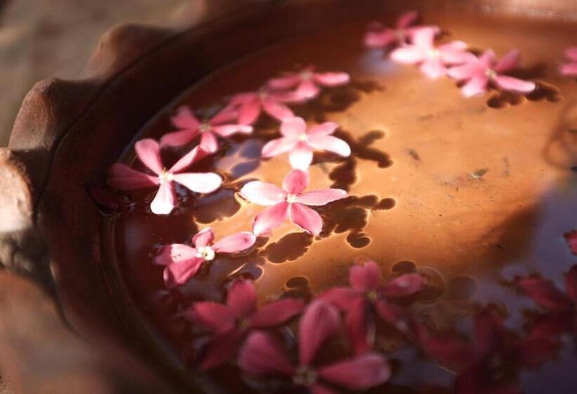 Pension Sigiri Aliya Tree House