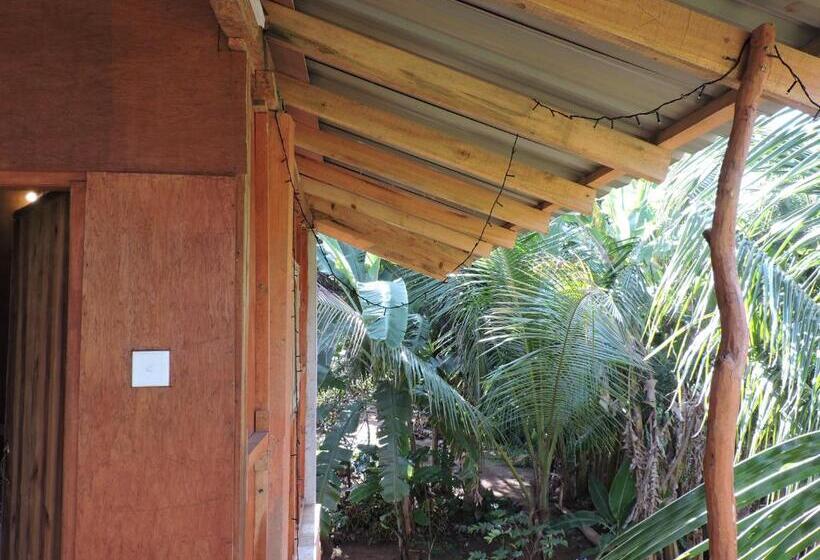 Pension Sigiri Aliya Tree House