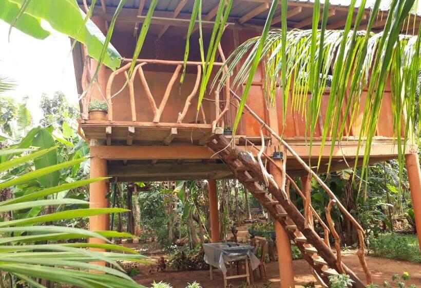 Pension Sigiri Aliya Tree House