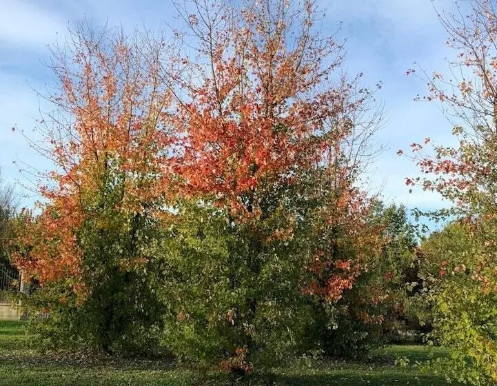 Hotelli Cascina San Giorgio