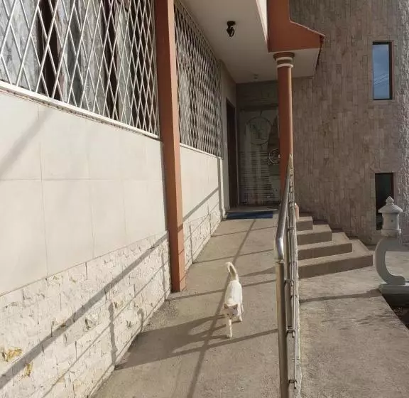 ペンション Hospedaje San Fernando