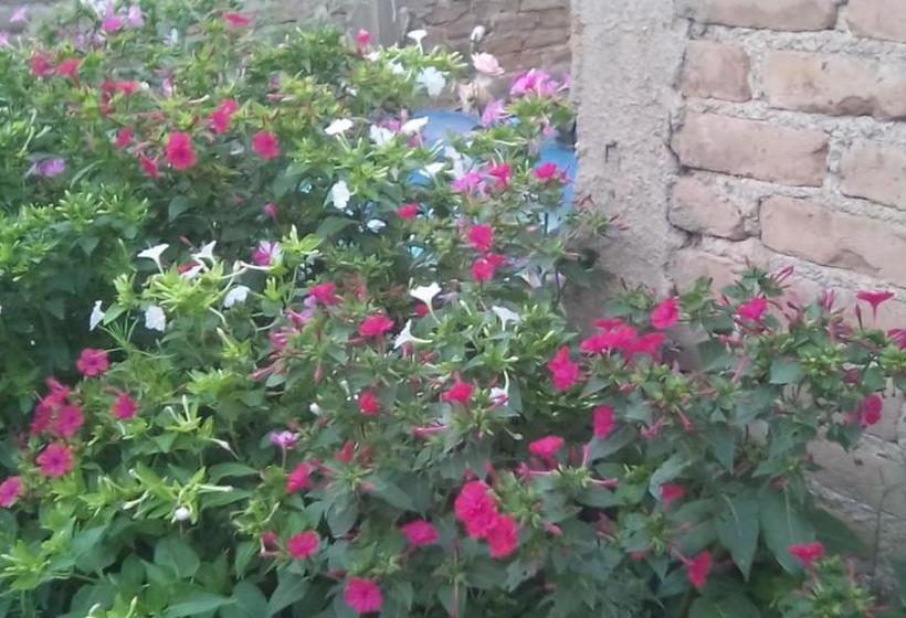 Parras Y Racimos Apart