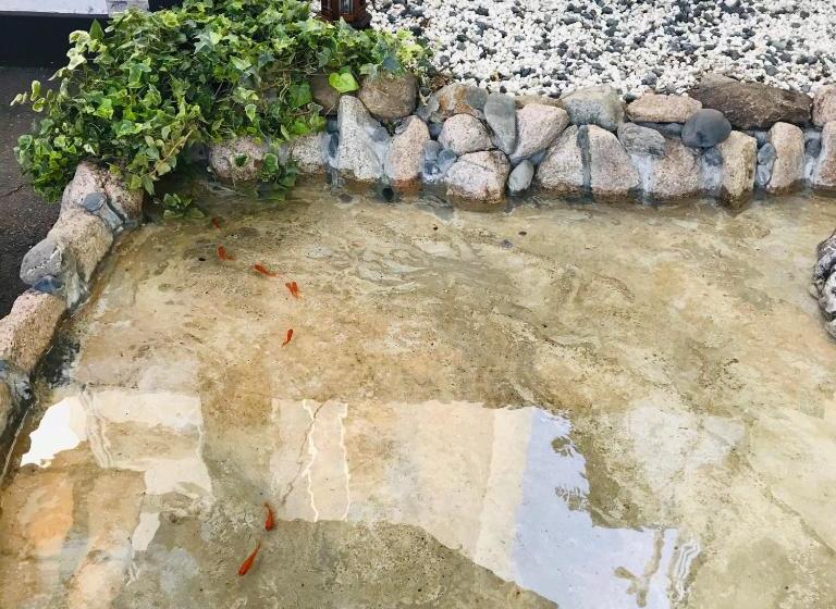 פנסיון River Forest