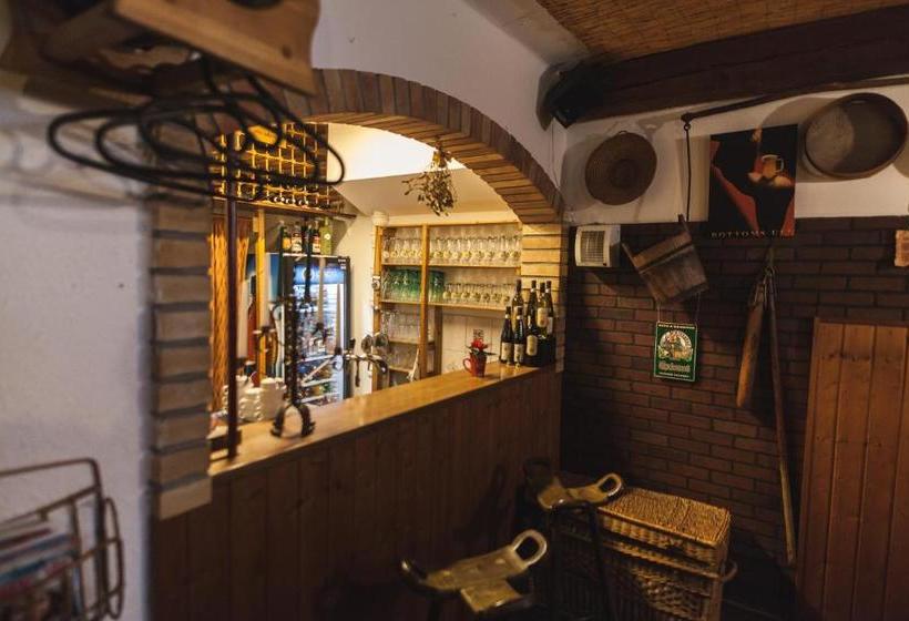 פנסיון Penzion Alpský Dům