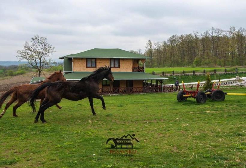 پانسیون Resavsko Etno Selo