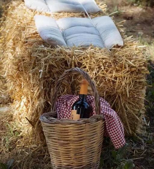 Lomakeskus Masseria Rauccio