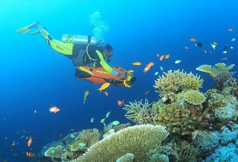 استراحتگاه You & Me Maldives - Adults Only