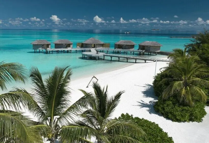 استراحتگاه You & Me Maldives - Adults Only
