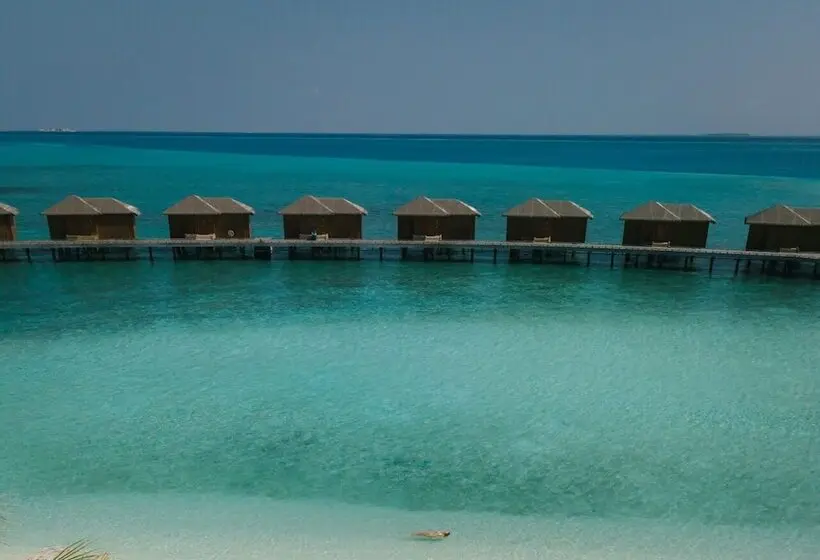 استراحتگاه You & Me Maldives - Adults Only