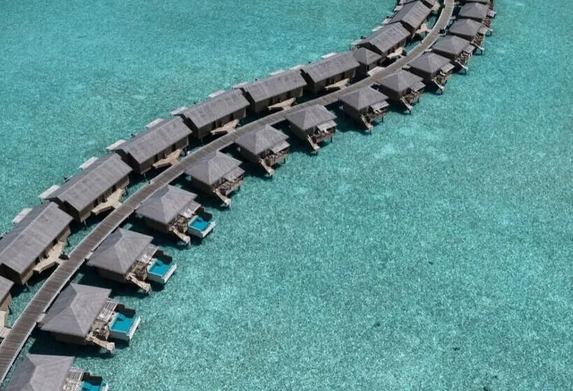استراحتگاه You & Me Maldives - Adults Only