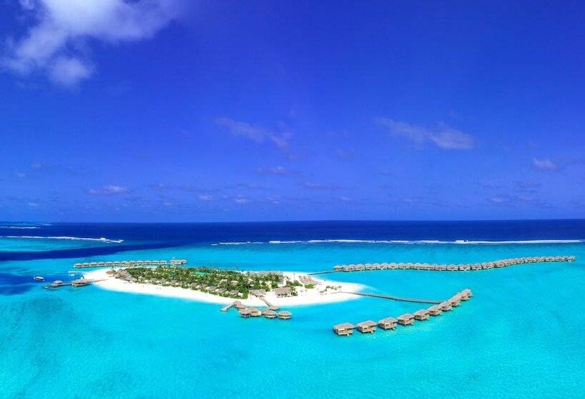 استراحتگاه You & Me Maldives