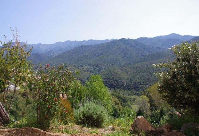 ベッドアンドブレックファースト Casa Ib