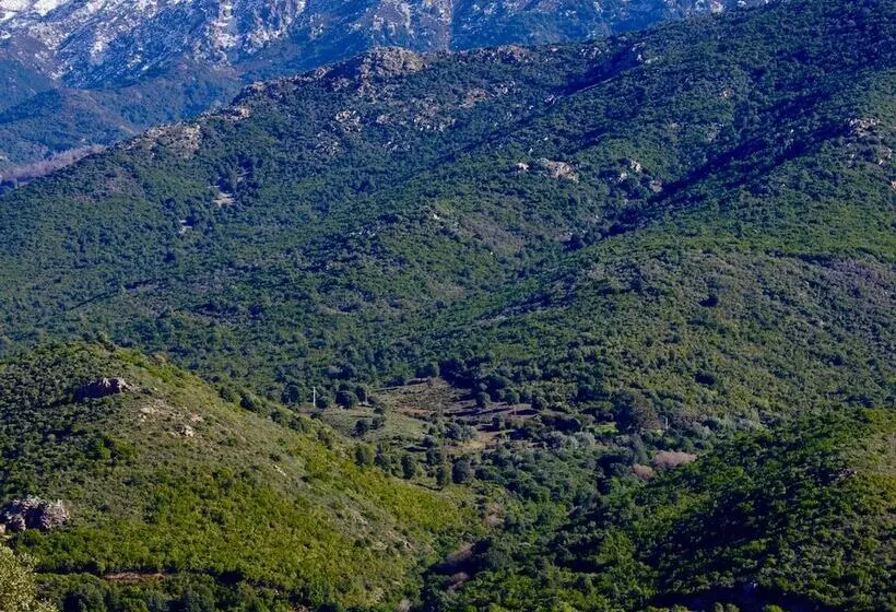 Aamiaismajoitus (B&B) Casa Ib