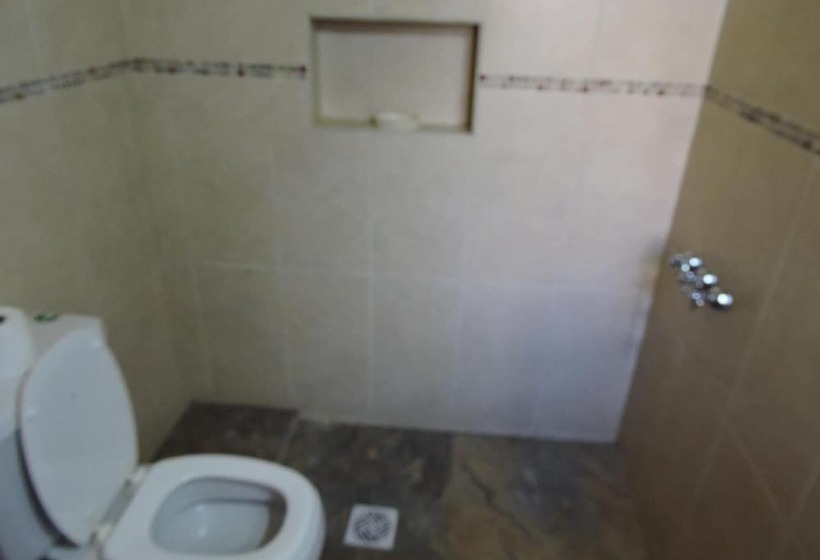 Bed and Breakfast Hostal Casa De Piedra