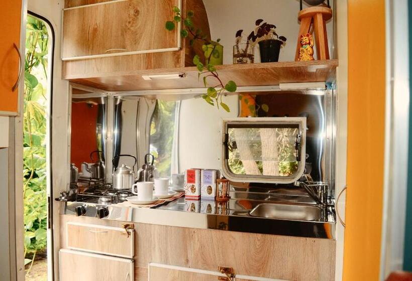 هتل Socialtel Bariloche   Formerly Selina Bariloche