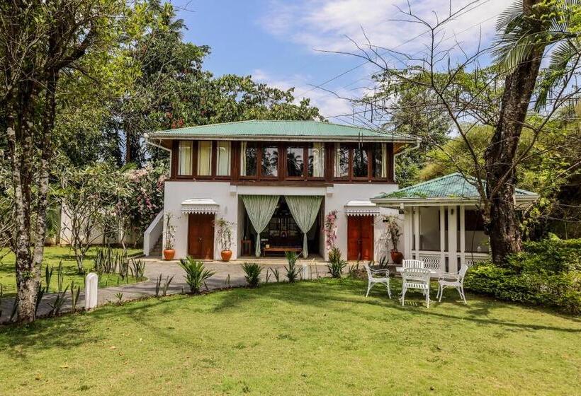 فندق The Flame Tree Estate &