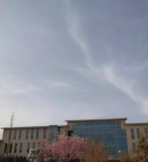 ホテル Qingdao Bauhinia Garden