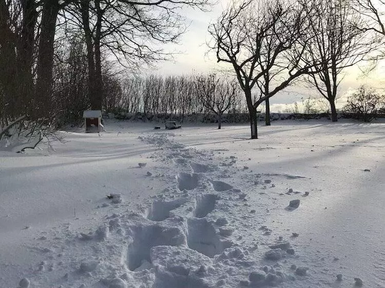 ホテル Soeder Countryhouse & Kitchen