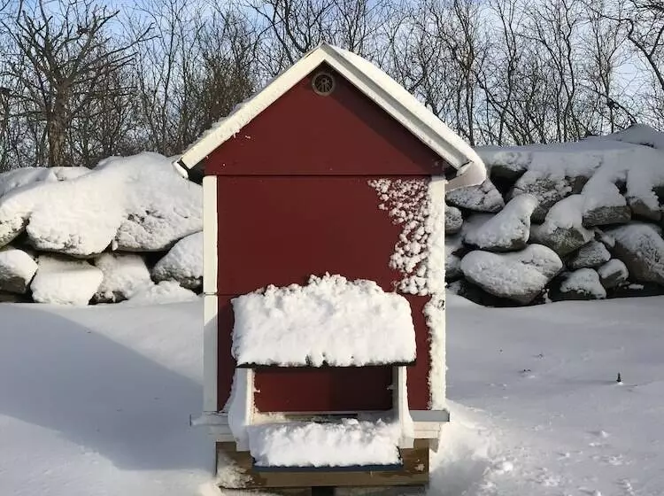 ホテル Soeder Countryhouse & Kitchen