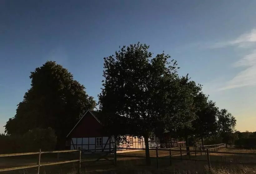 ホテル Soeder Countryhouse & Kitchen