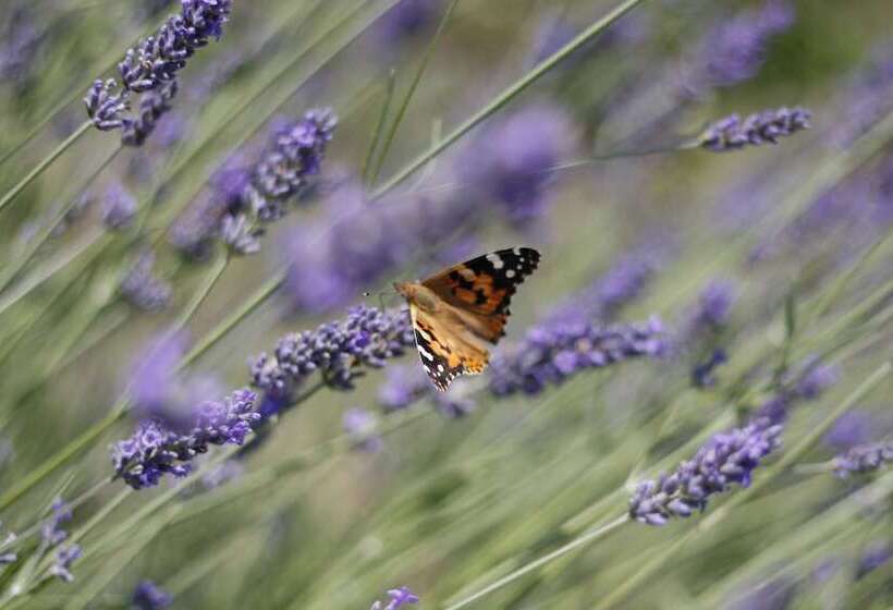 בית מלון כפרי Soeder Countryhouse & Kitchen