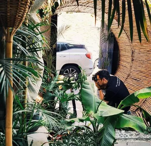 ペンション Hoja Santa Posada